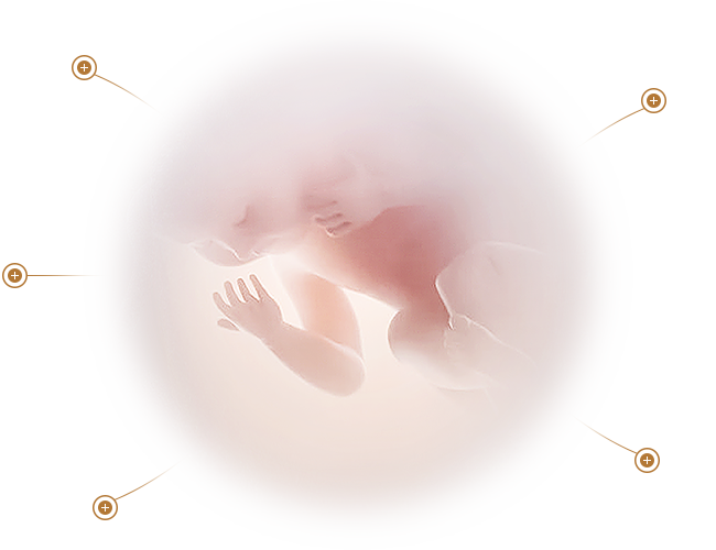 中科聚研干細胞科技有限公司